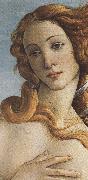 Sandro Botticelli The Birth of Venus (mk36) Spain oil painting artist